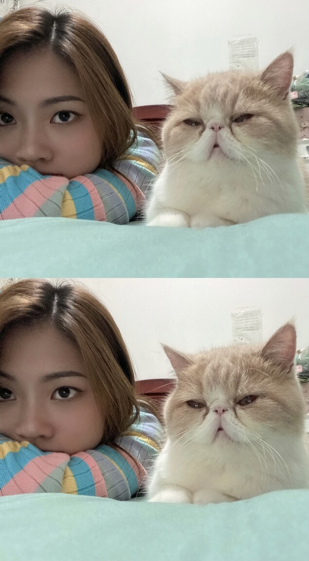 wangjing international dating sites europe