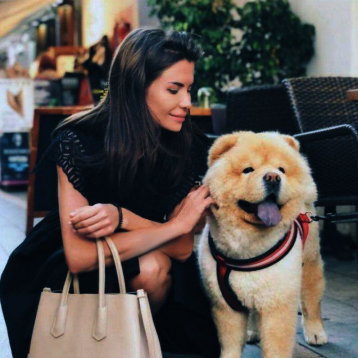 Victoria international dating sites in south africa