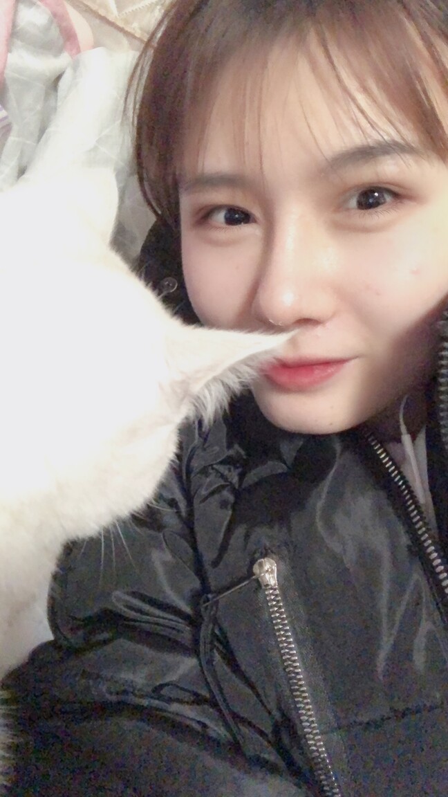 chensisi international dating vienna