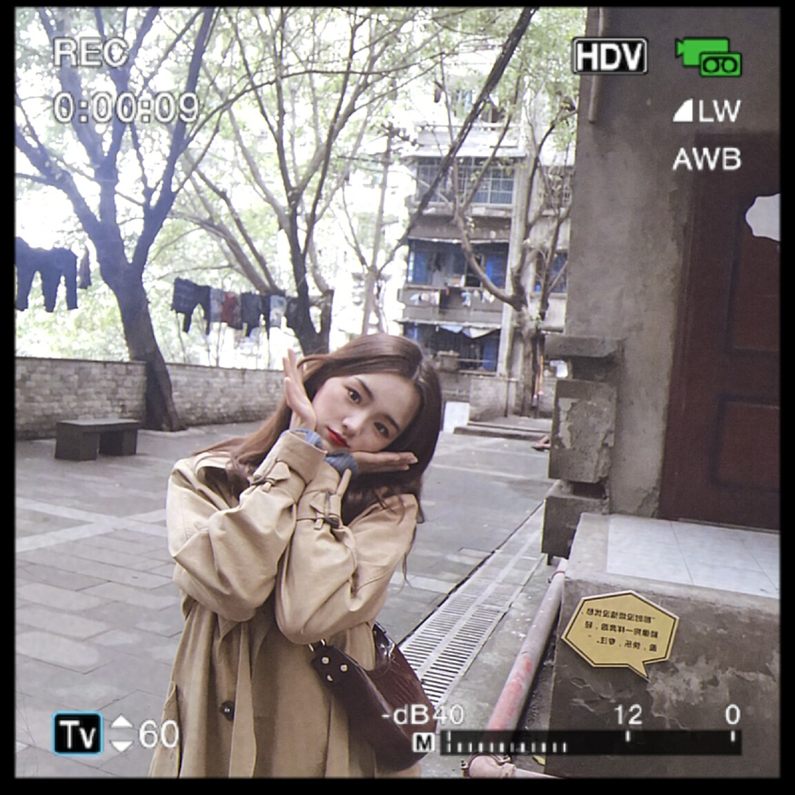 wangdaiqiu victoria brides dating site