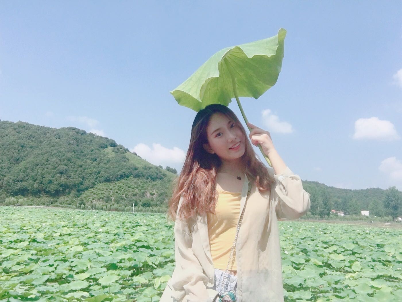 yanglu international datingcom